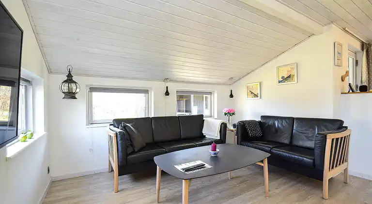 vakantiehuis in Ulfborg