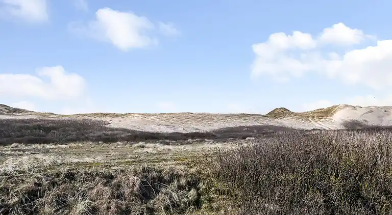 Feriebolig i Ulfborg