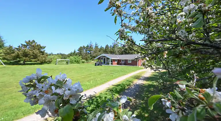 Ferienhaus in Nørre Fjand