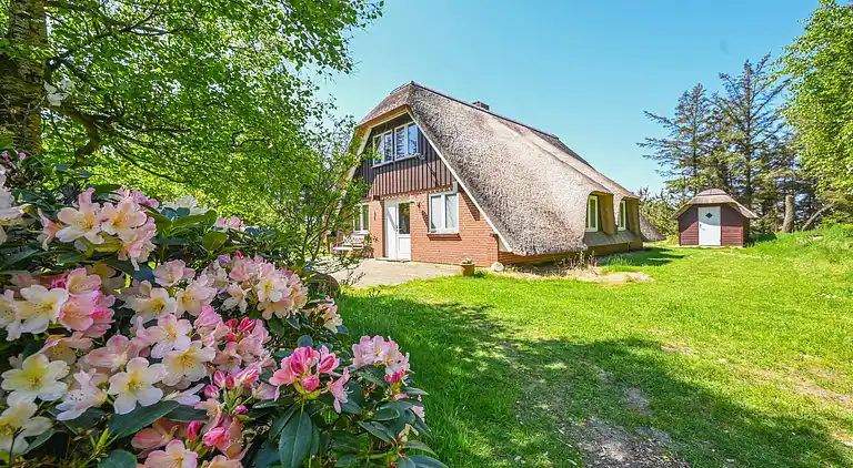 vakantiehuis in Ulfborg