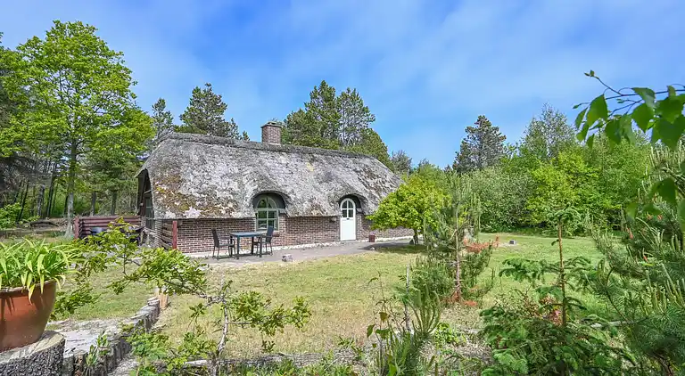 Feriebolig i Ulfborg