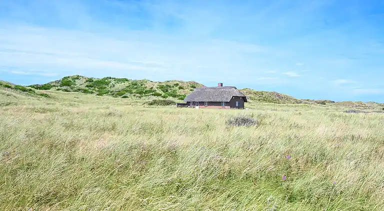 Ferienhaus in Ulfborg