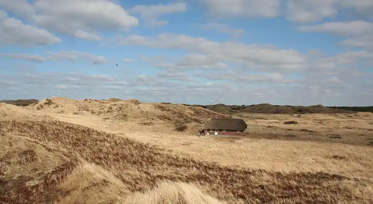 Ferienhaus in Ulfborg