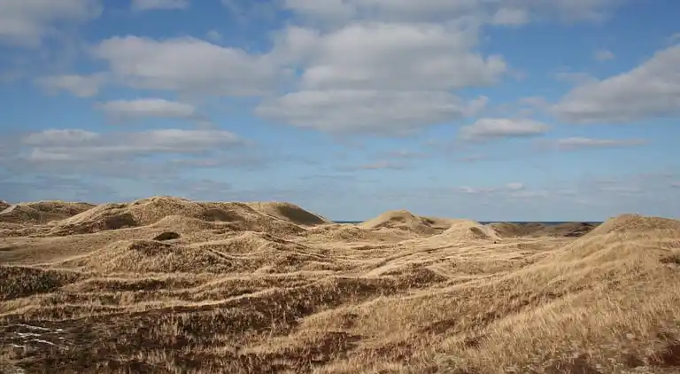 Ferienhaus in Ulfborg