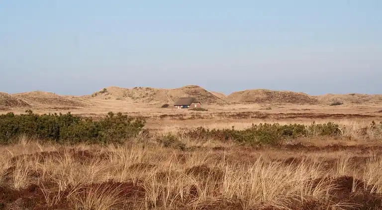 Ferienhaus in Ulfborg