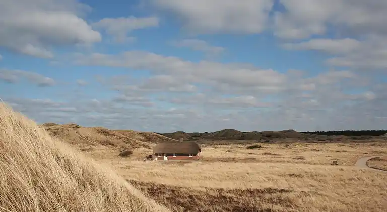 Ferienhaus in Ulfborg