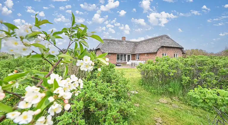 vakantiehuis in Ulfborg