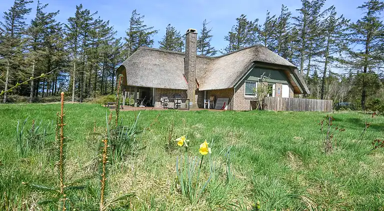 Ferienhaus in Ulfborg