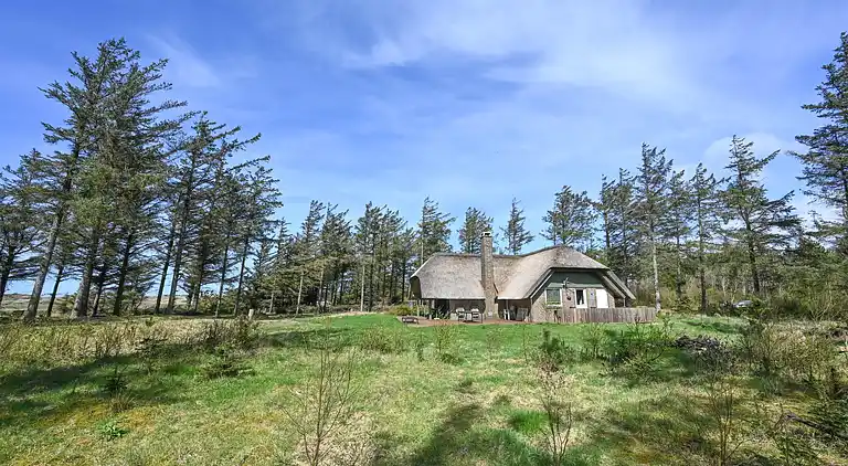 Ferienhaus in Ulfborg