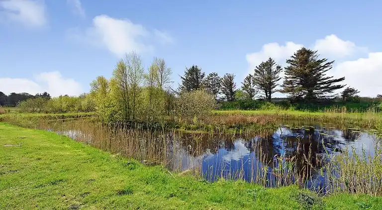 Feriebolig i Nørre Fjand