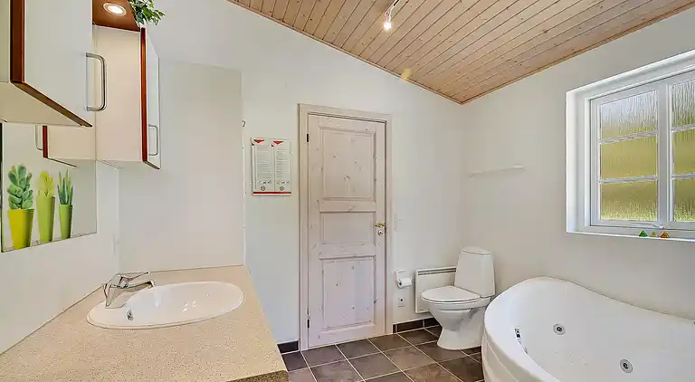 vakantiehuis in Ulfborg