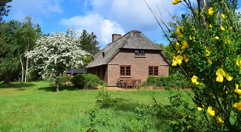 Feriebolig i Ulfborg