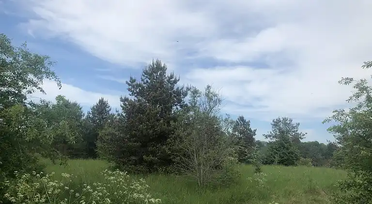 Feriebolig i Fårvang