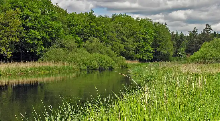 Feriebolig i Fårvang