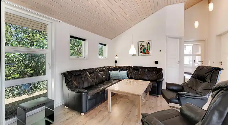 vakantiehuis in Varde