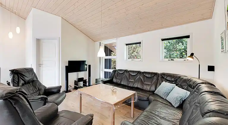 vakantiehuis in Varde