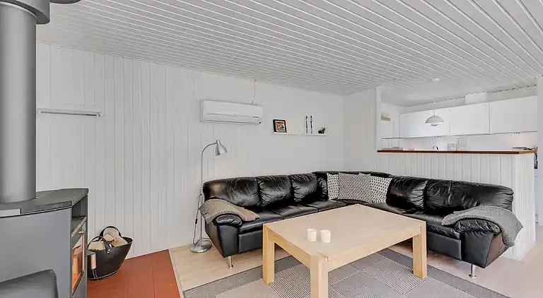 vakantiehuis in Varde