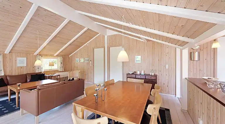 Vakantiehuis in Varde