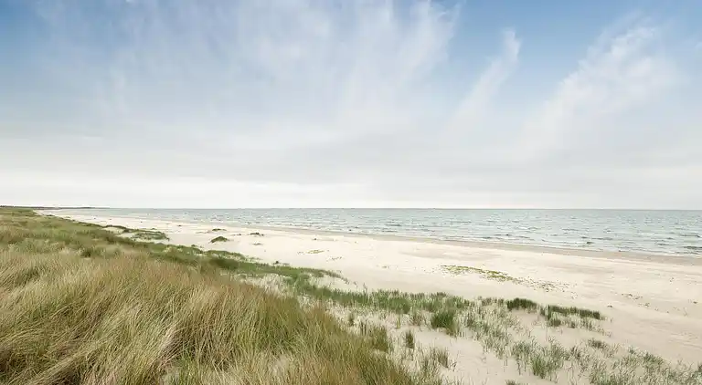 Feriebolig i Ålbæk