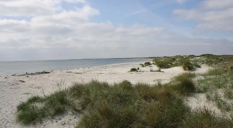 Feriebolig i Ålbæk