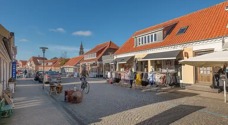 Ferienhaus in Skagen