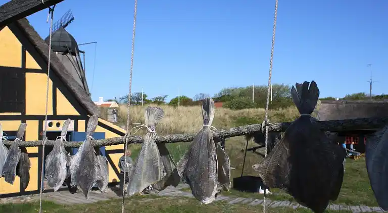 Ferienhaus in Skagen