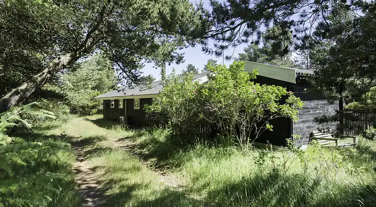 Feriebolig i Ålbæk