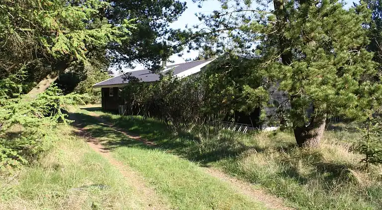 Feriebolig i Ålbæk