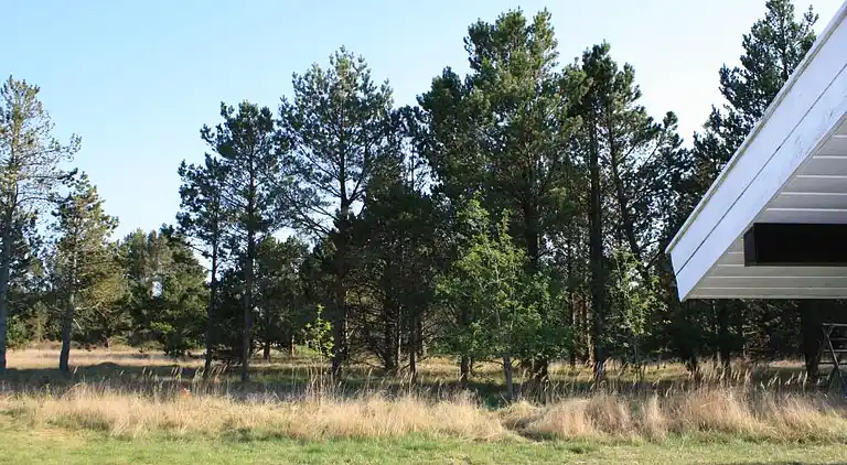 Feriebolig i Ålbæk