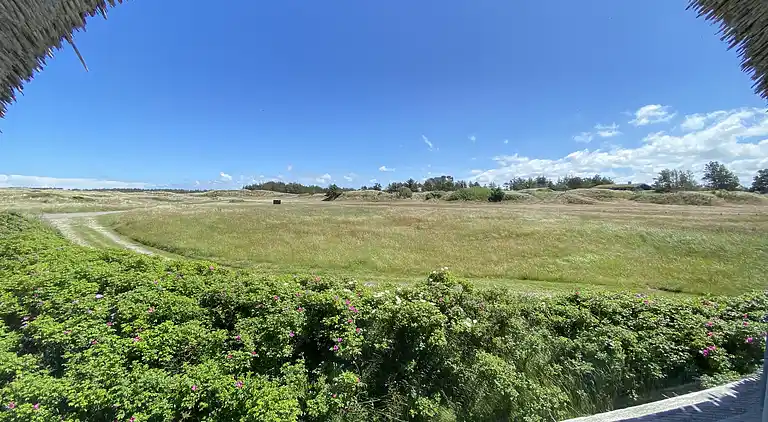 Ferienhaus in Ålbæk