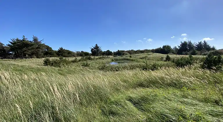 vakantiehuis in Skagen