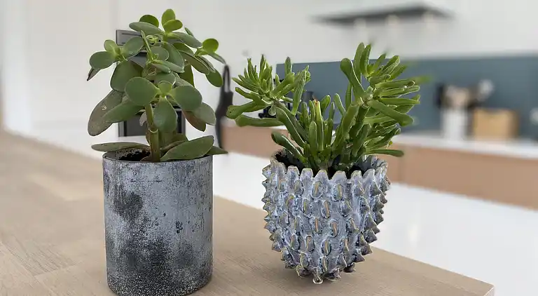 Holiday home in Skagen