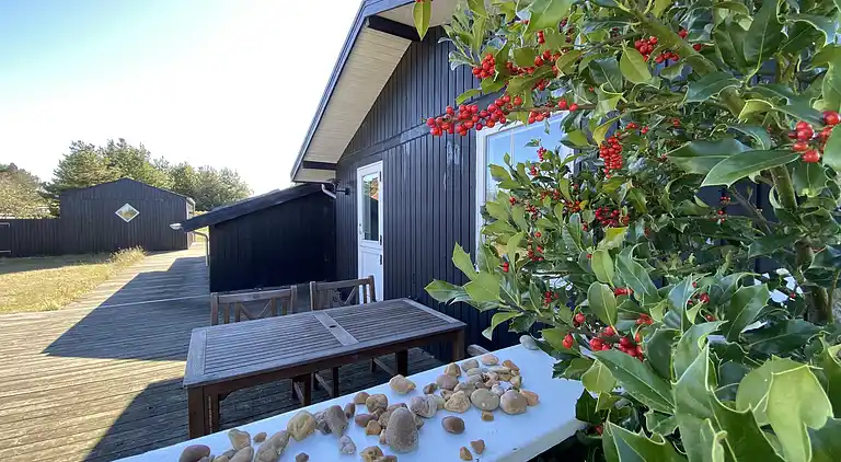 Casa vacanze in Skagen