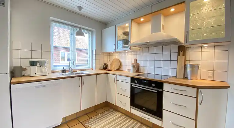 Ferienhaus in Skagen