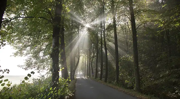 Holiday home in Øster Assels