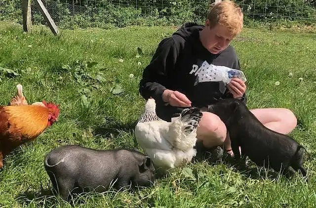 Holiday home in Erslev