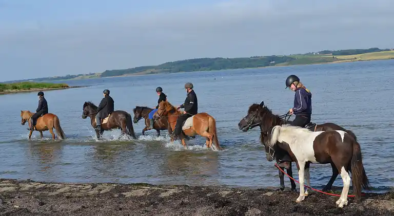 Holiday home in Erslev