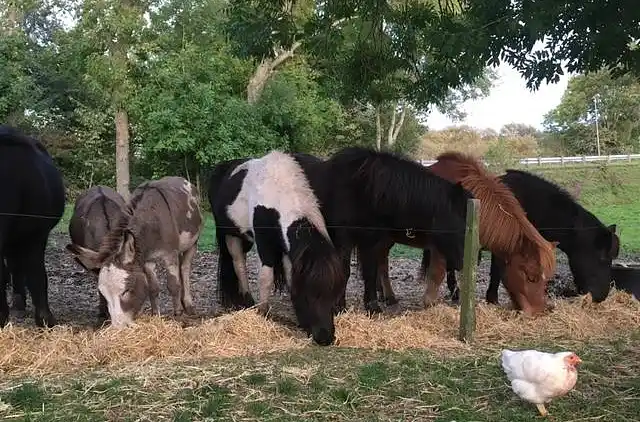 Holiday home in Erslev
