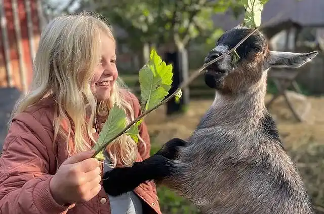 Holiday home in Erslev