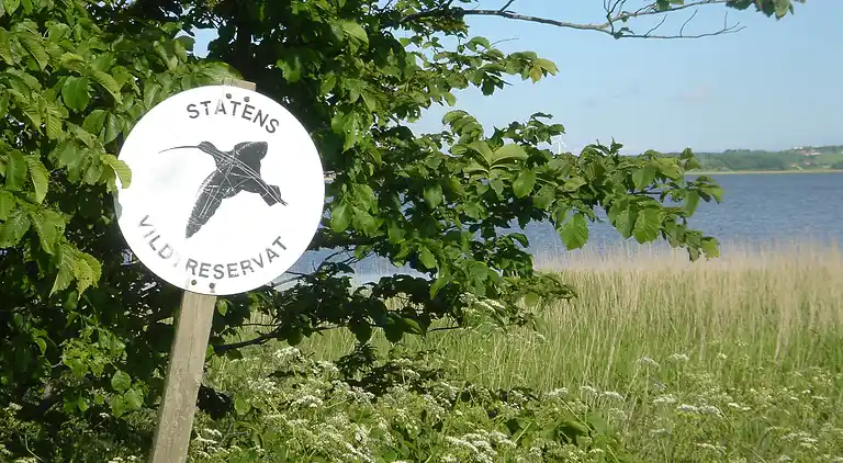 Holiday home in Thisted