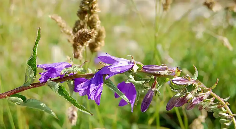 Feriebolig i Nykøbing Mors