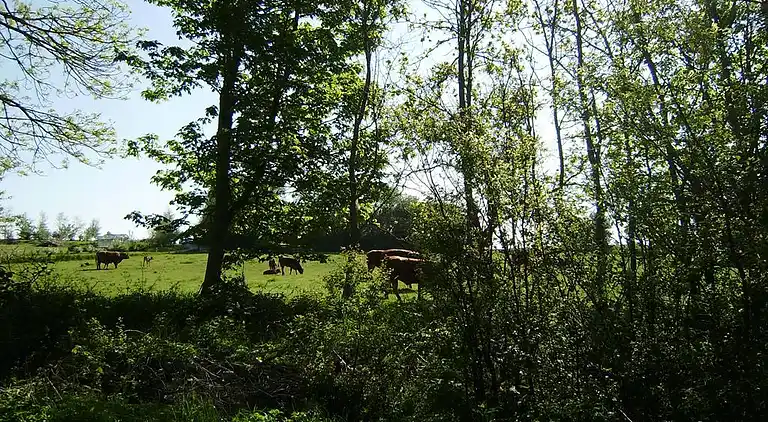 Holiday home in Nykøbing Mors