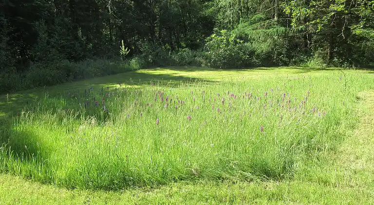 Feriebolig i Øster Assels