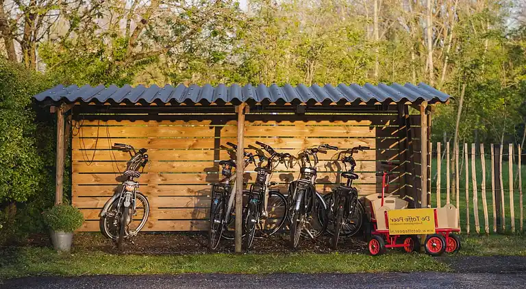 Holiday home in Ruinerwold