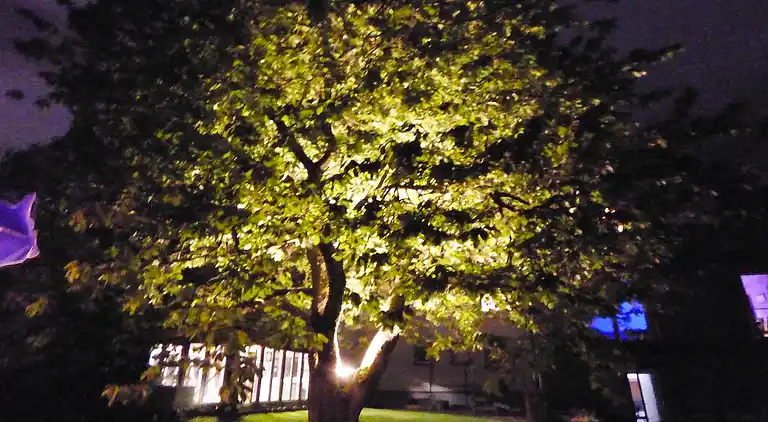 Herregård i Denterhof