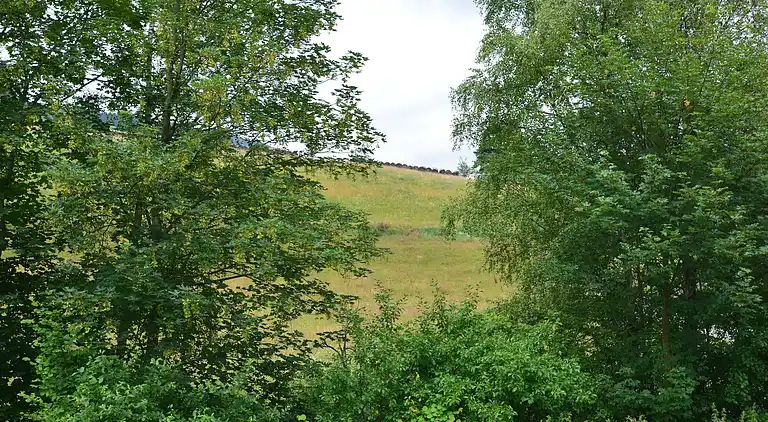 Ferielejlighed i Elpe