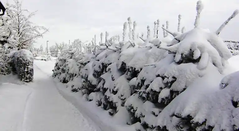 Ferielejlighed i Kahlert