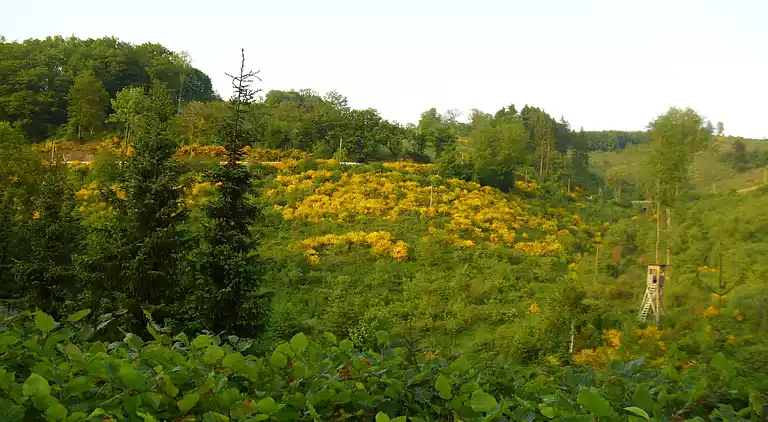 Apartment in Oberkirchen