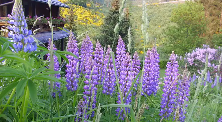 Apartment in Oberkirchen