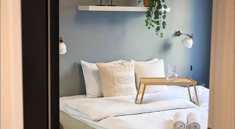 Spacious apartment right in the city centre